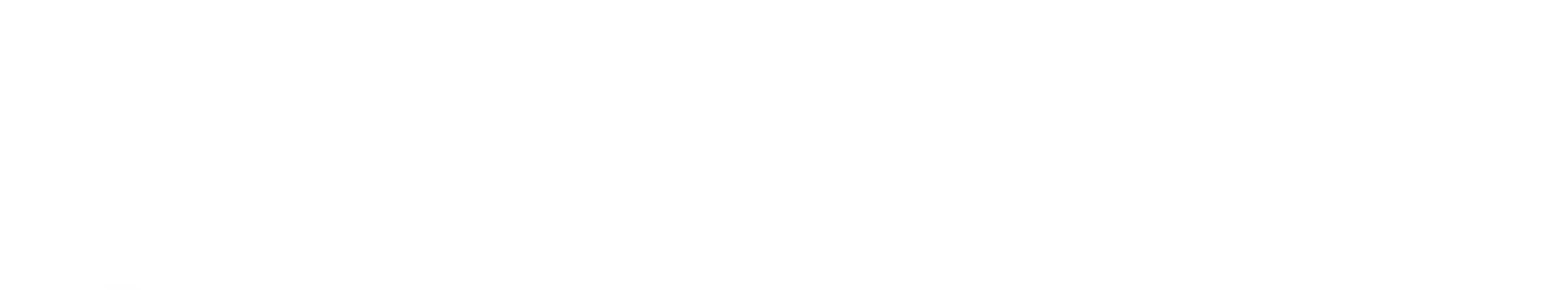 Aspire Plus Logo